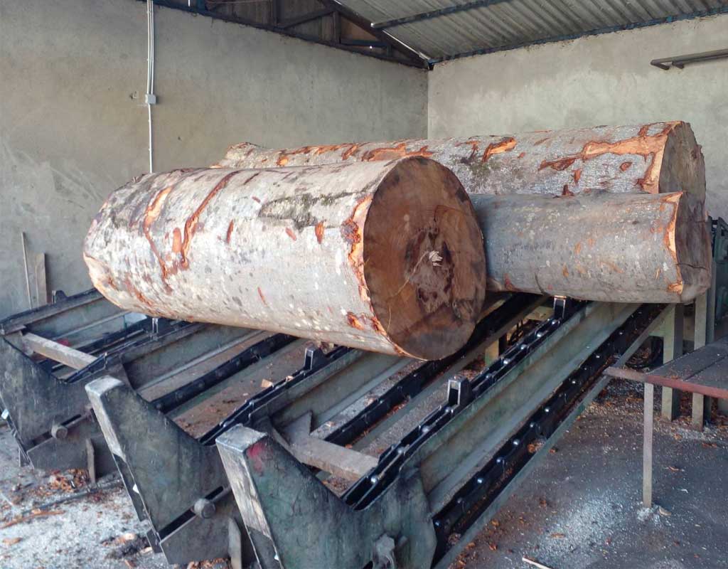 poslovni-pano-nekretnine-tatictrejd-doo-3